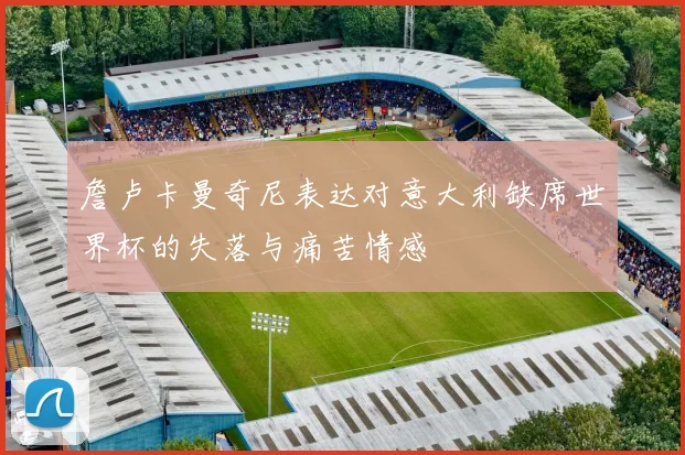 詹卢卡曼奇尼表达对意大利缺席世界杯的失落与痛苦情感