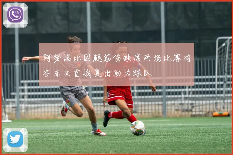 阿努诺比因腿筋伤缺席两场比赛将在东决首战复出助力球队